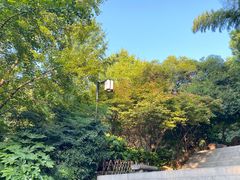 -岳麓山风景名胜区