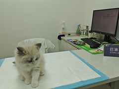 -宠颐生汉谟拉比宠物医院