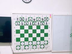 -常青藤国际象棋(新奥店)