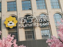 -苏宁易购(郑州二七广场德化街店)