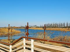 -春花秋色城市公园