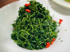 红果枸杞苗-清真·宁夏印象·盐池滩羊肉体验店(江宁路店)