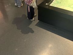 -隋唐大运河文化博物馆
