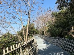 -福道