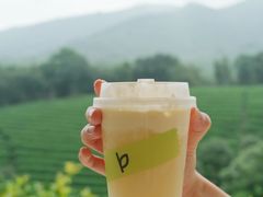 -白茶原·一片叶子