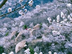 -北京凤凰岭