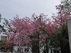 -荔湾区儿童公园