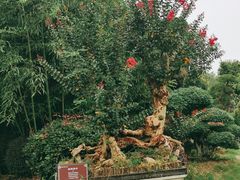 -武汉紫薇都市田园