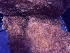 -盒马鲜生(顺义店)