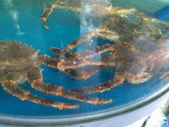 -清水湾3号(东方小周海鲜店)