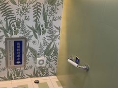 -春花秋色城市公园