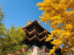 -东华门大街小区
