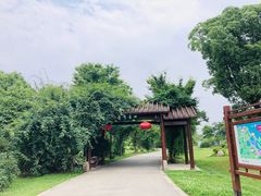 -鹅湖玫瑰文化园