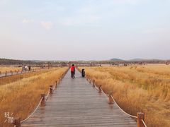 -御道口草原森林风景区