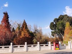 -滇池海埂公园