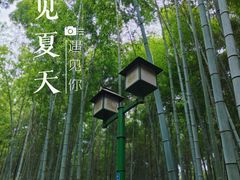 -杭州植物园
