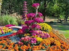 -上海共青森林公园