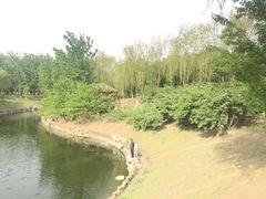 -大兴滨河森林公园