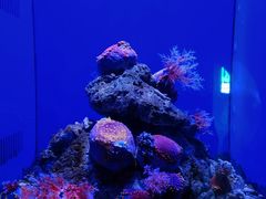 -青岛海底世界-水族馆