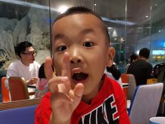 -帝企鹅自助餐厅•儿童岛•真企鹅(长隆企鹅酒店)