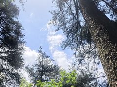 -明堂山风景区