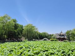 -莲池书院博物馆