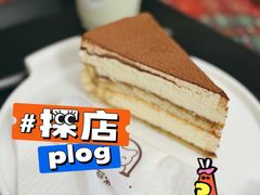 -是阿柴呀！柴犬咖啡·爱喵喵猫咖