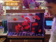 -龙记·香港茶餐厅(海上世界店)