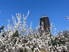 -玲珑塔公园