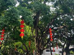 -荔湾湖公园