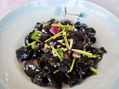 -九头鸟酒家(东高地店)