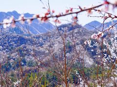 -龙泉峪长城