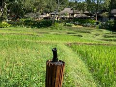 -四季酒店下午茶