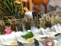 -顺德了能馆(虎门店)