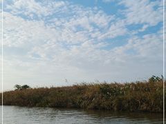 -宁波杭州湾国家湿地公园