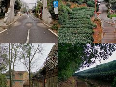 -西湖风景区十里琅珰-五云山