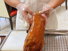-普天和酒楼·新津菜·烤鸭(天津之眼店)
