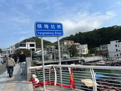 -杨梅坑