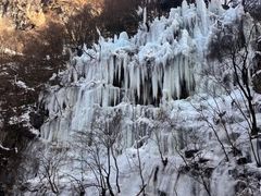 -陕西省红河谷森林公园
