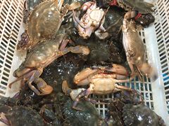 -众彩物流水产市场