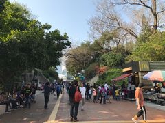 -九龙公园