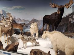 -陕西自然博物馆