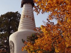 -大觉寺-停车场