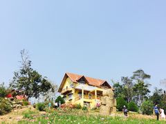 -黄色小屋