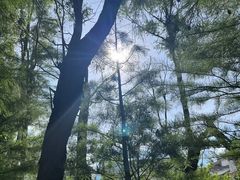 -大理洱海
