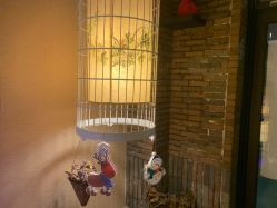 -威思丽高温瑜伽会馆