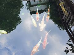 -龙桥私厨·姜花菊花过桥鱼·顺德菜(容桂店)