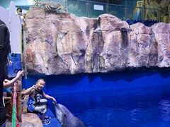 -华夏文旅海洋公园