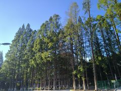 -同济大学(沪西校区)