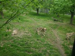 -西安秦岭野生动物园